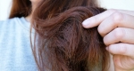 نازک شدن مو چه دلیلی دارد؟