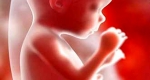 تشخیص سلامت جنین در بارداری