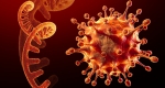 آیا ویروس امیکرون کشنده است؟