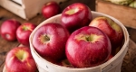 خوردن یک عدد سیب در روز شما را از دکتر بی نیاز می کند