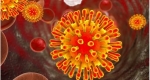 بیماری مقاربتی شانکروئید چیست