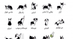  زبان اشاره سگ‌ها