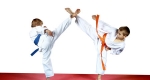 تفاوت بین کاراته و تکواندو