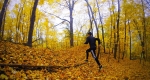 پیاده روی در فصل پاییز چه فوایدی دارد؟